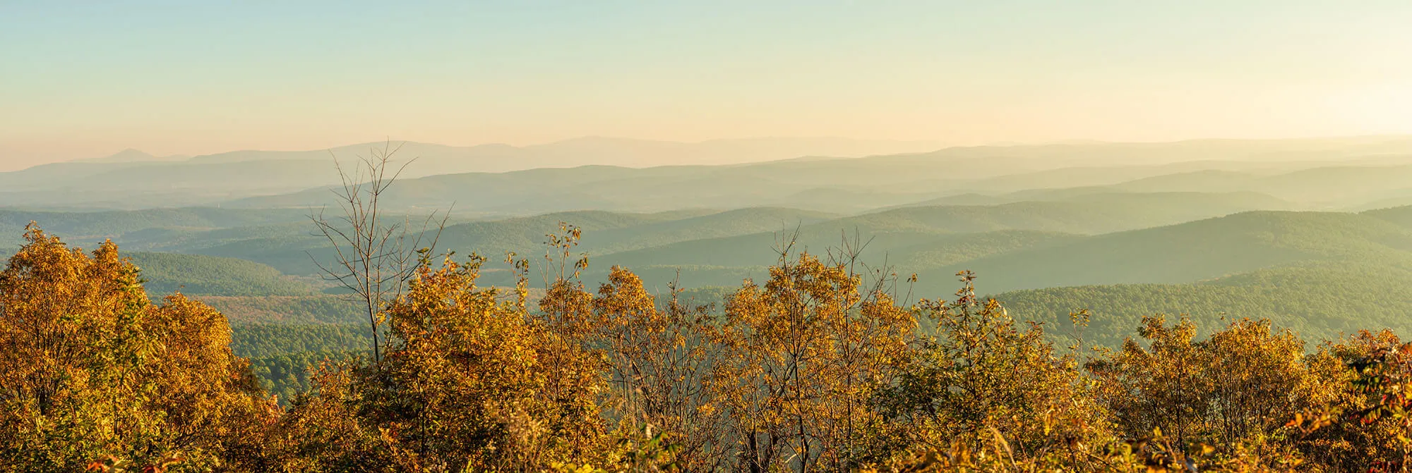 View over Ouachita National Forest